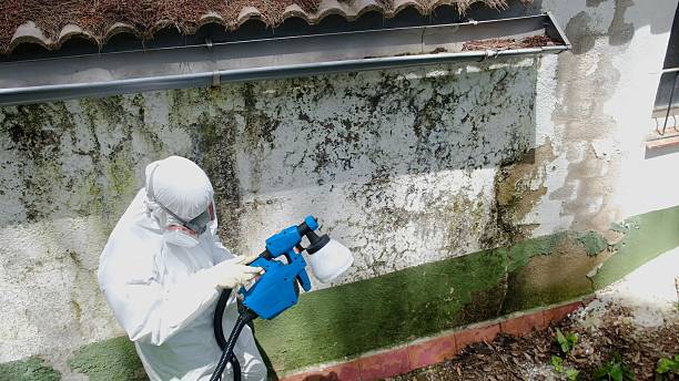 Trusted Mold Remediation service in Thompson's Station, TN - Cheap Mold Removal